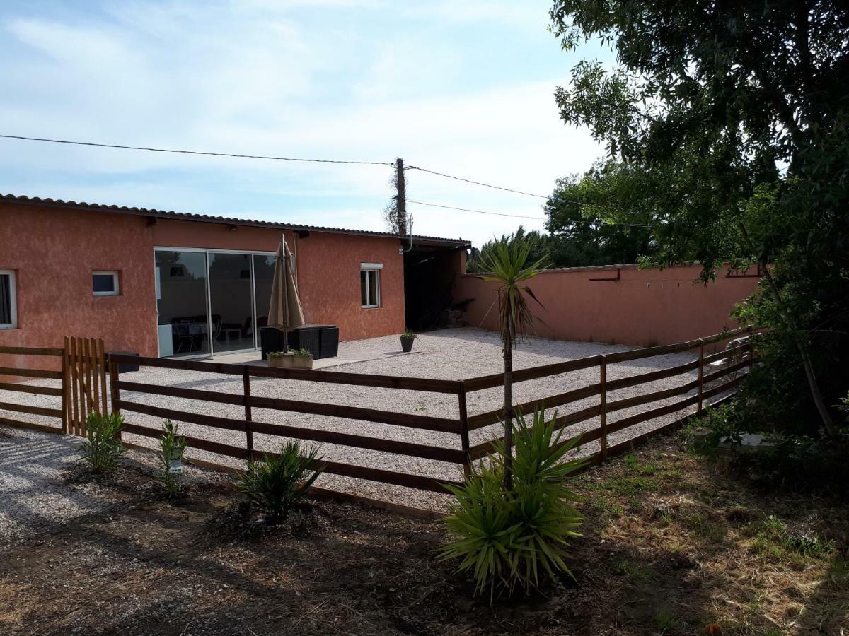 Maison Plain Pied Villelongue-de-la-Salanque Bagian luar foto