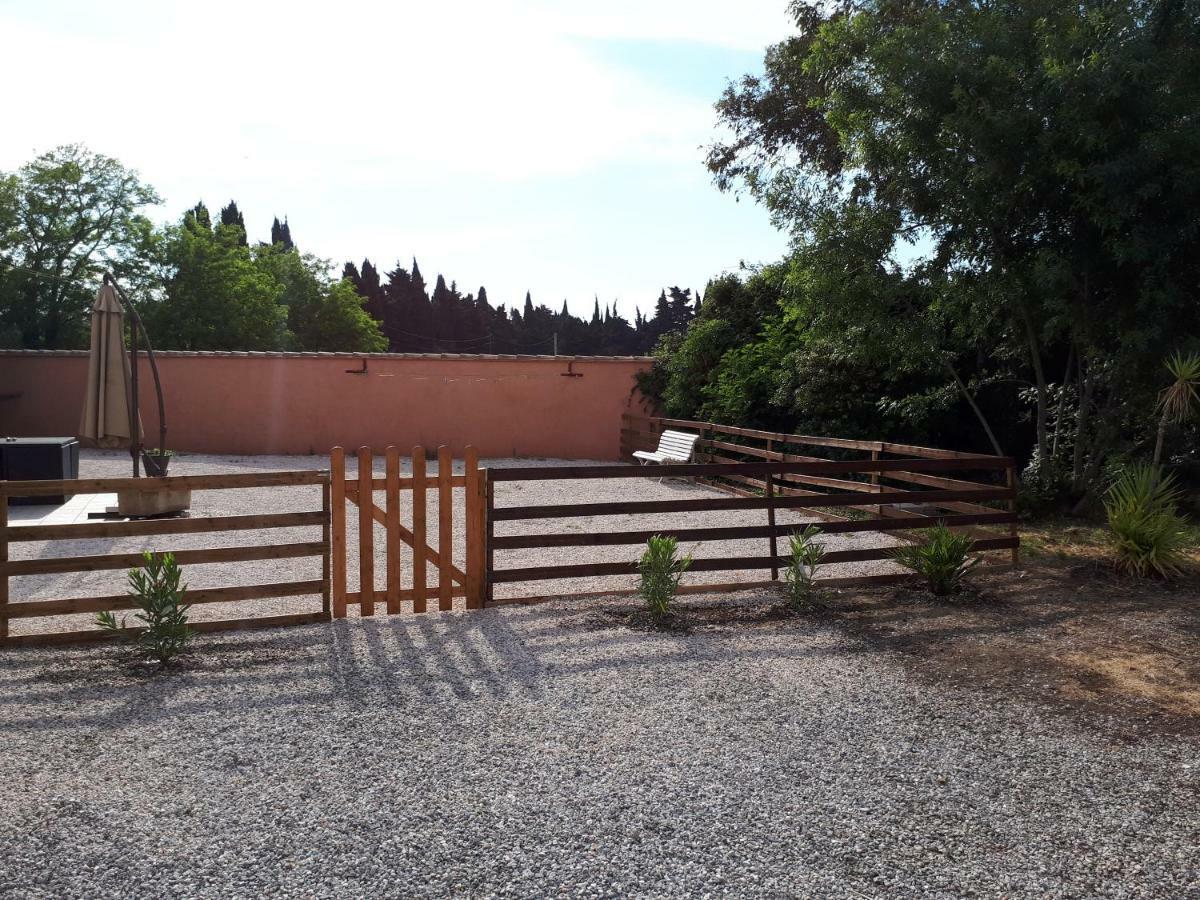 Maison Plain Pied Villelongue-de-la-Salanque Bagian luar foto